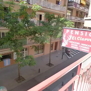 Penzion El Ciervo, Lloret de Mar